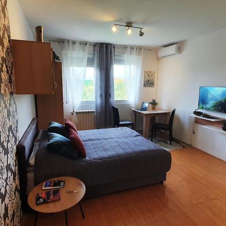 Apartman 64 - Besplatan Parking Za Goste ノヴィ・サド エクステリア 写真