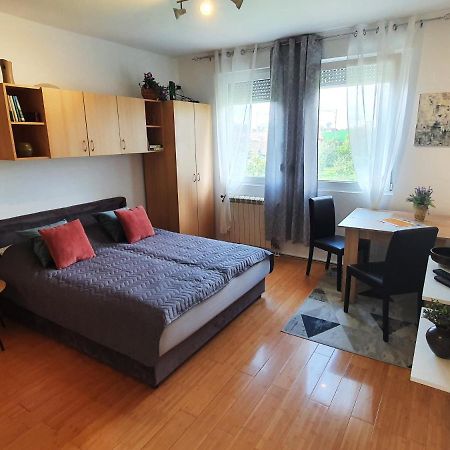Apartman 64 - Besplatan Parking Za Goste ノヴィ・サド エクステリア 写真