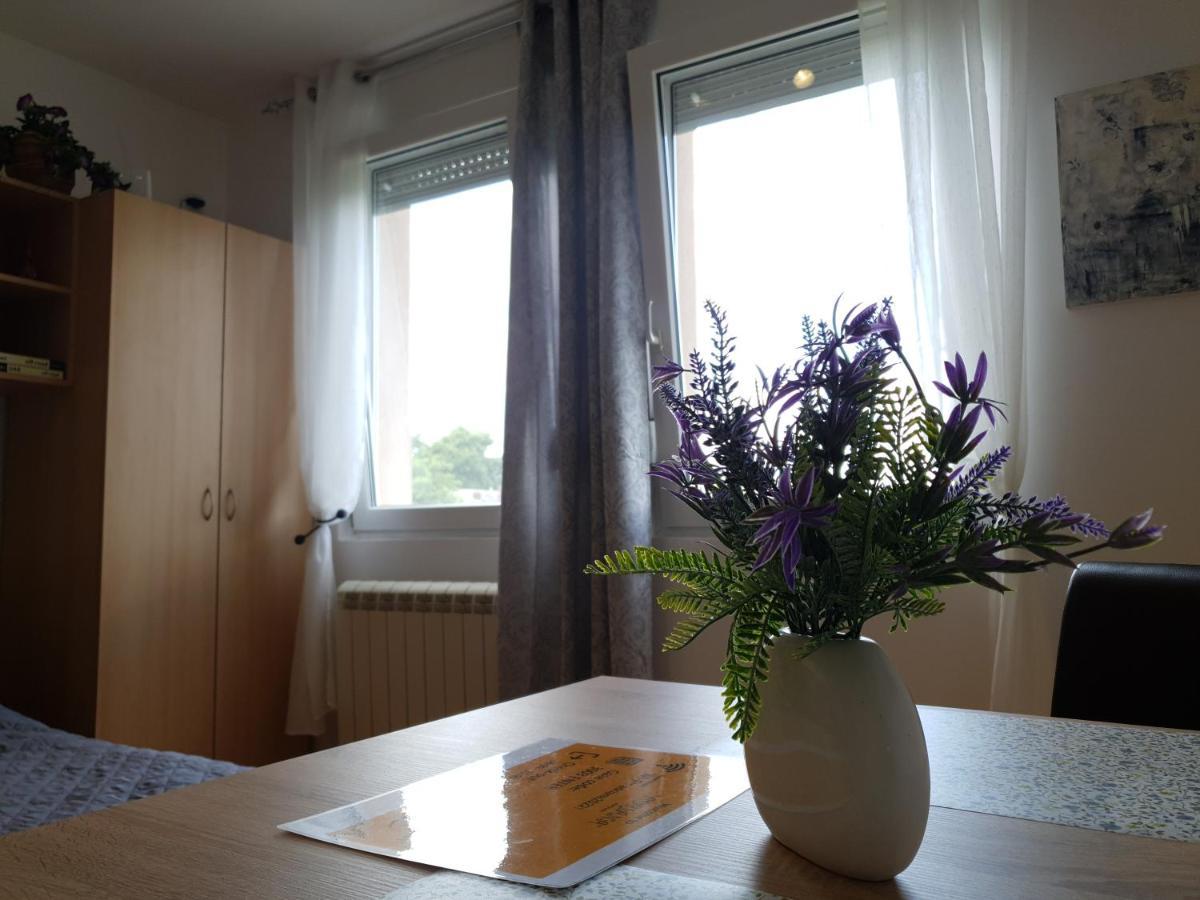 Apartman 64 - Besplatan Parking Za Goste ノヴィ・サド エクステリア 写真