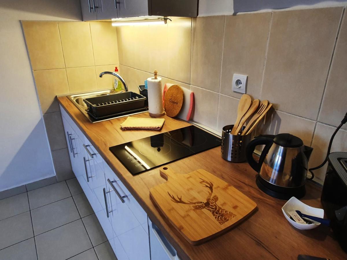 Apartman 64 - Besplatan Parking Za Goste ノヴィ・サド エクステリア 写真