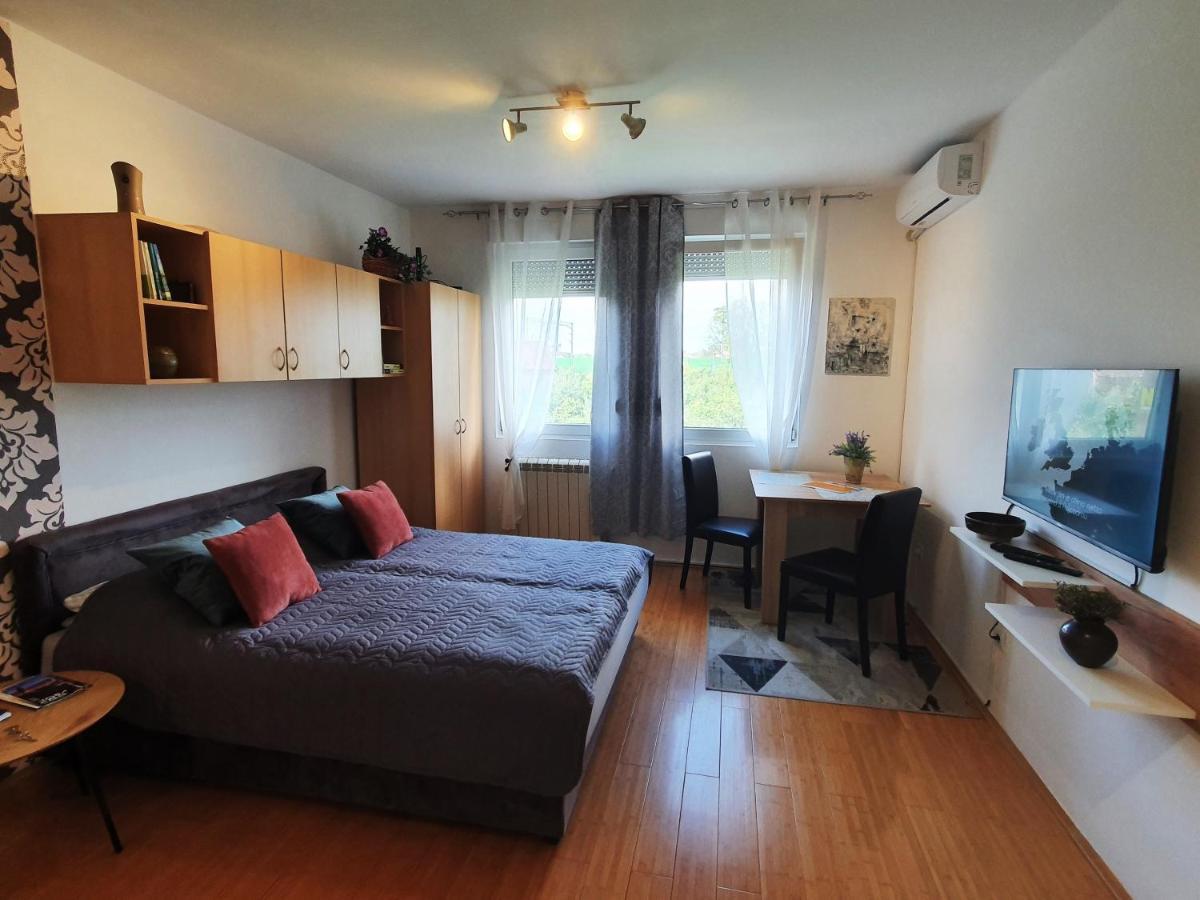 Apartman 64 - Besplatan Parking Za Goste ノヴィ・サド エクステリア 写真