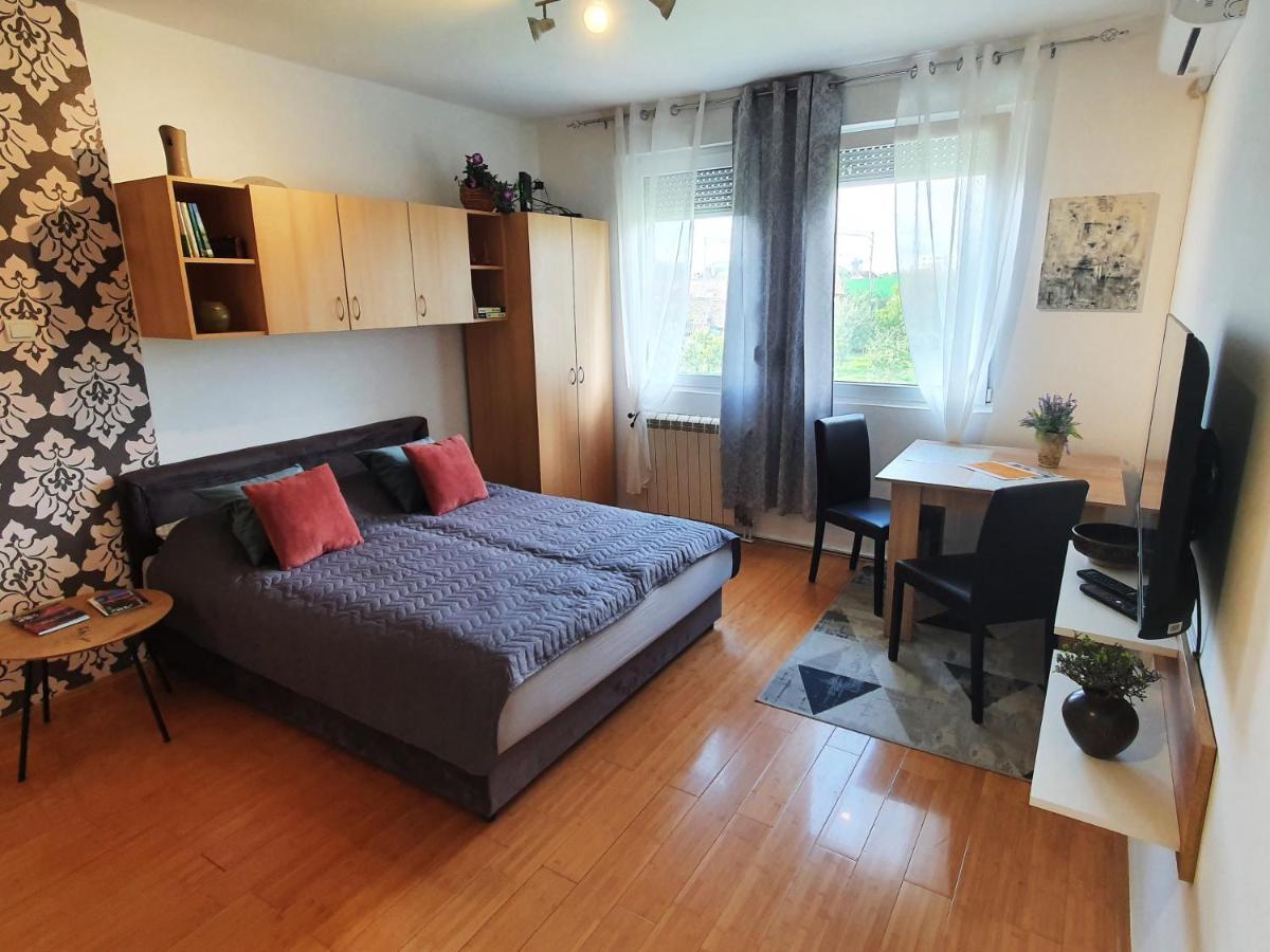 Apartman 64 - Besplatan Parking Za Goste ノヴィ・サド エクステリア 写真